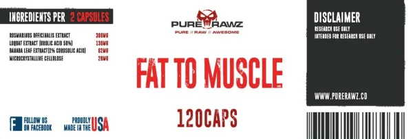 Fat to Muscle - Image 2