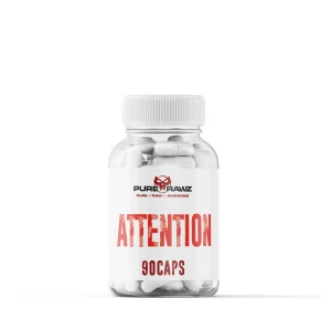 Attention Capsules