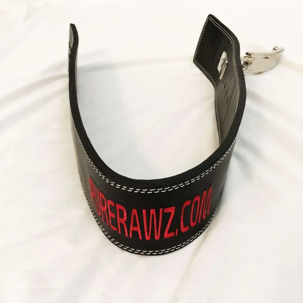 Lifting Belt (with Latch) - Image 2